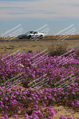 media/Jan-08-2023-SCCA SD (Sun) [[8f6a5b9391]]/Intermediate Group/Session 2 (Short Straight)/